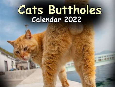 cat bum calendar